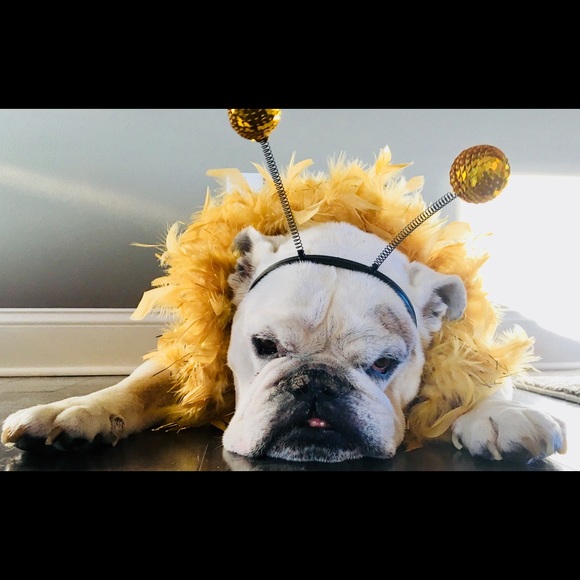 Meet your Posher, Melissa - Picture 1 of 1